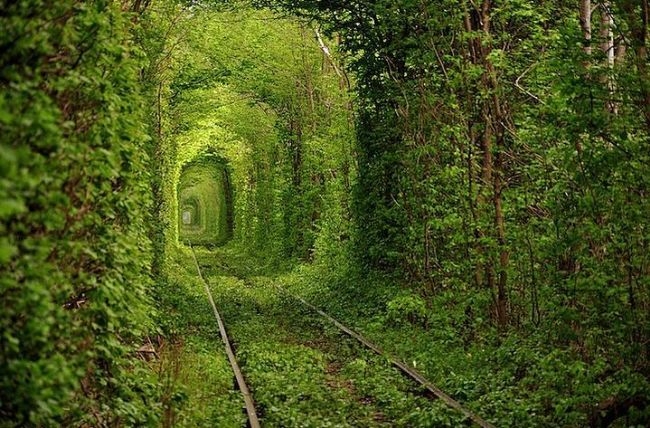 Merak Edilen Fotoğrafların Ülkeleri 1