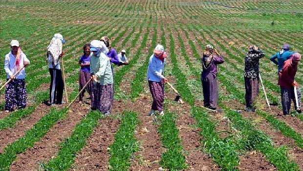 Dikkat! 10 Yıla Kadar Bu Mesleklerin Önü Kapanacak 8