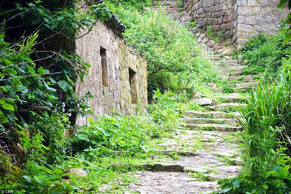 Doğanın İşgal Ettiği Balıkçı Kasabasından Çok Özel Kareler 17