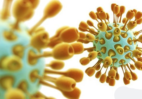 Mers Virüsünü 10 Adımda Tanıyalım 4