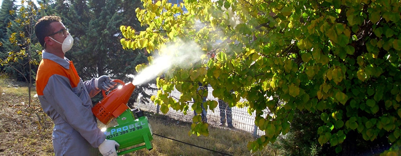 Tarım İlacının En Çok Bulunduğu Sebze ve Meyveler 2