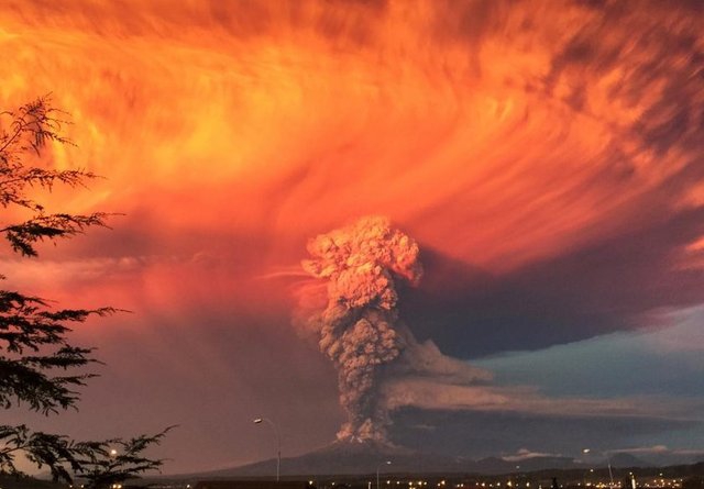 2015'in En Güzel Fotoğrafları 7