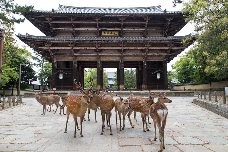 Japonya Hakkında Bilinmesi Gerekenler ve Gezi Rehberi 18