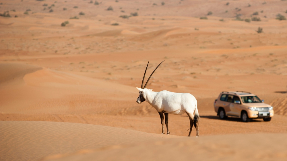 Dubai'de Gezip Görmeniz Gereken Yerler 7