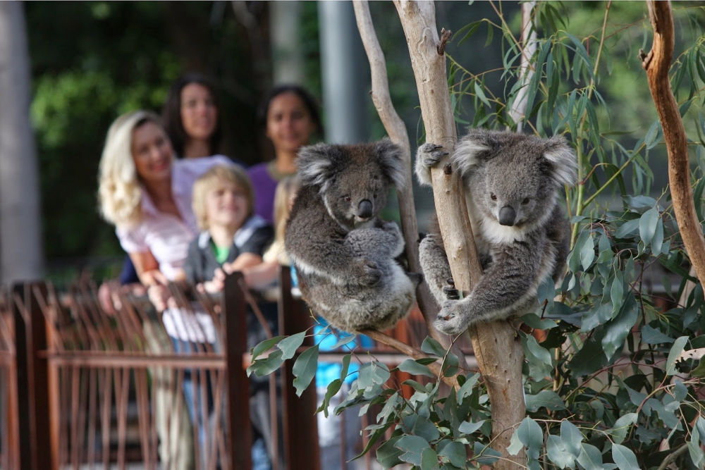 Melbourne'de Gezip Görmeniz Gereken Yerler 9