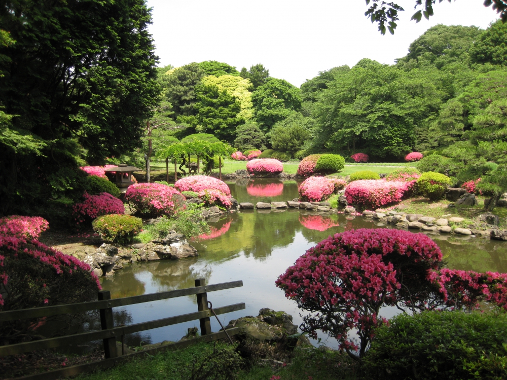 Tokyo'da Gezip Görmeniz Gereken Yerler 1