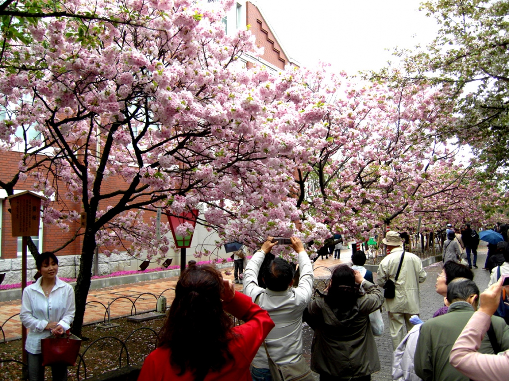 Osaka'da Gezip Görmeniz Gereken Yerler 9