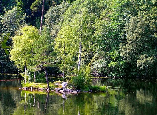 Oslo'da Gezip Görmeniz Gereken Yerler 11