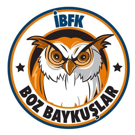 Boz Baykuşlar'ın Efsane Tribün Pankartları 1