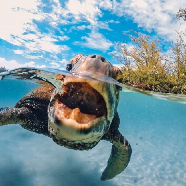 GoPro ile Çekilmiş Birbirinden Harika Kareler 10