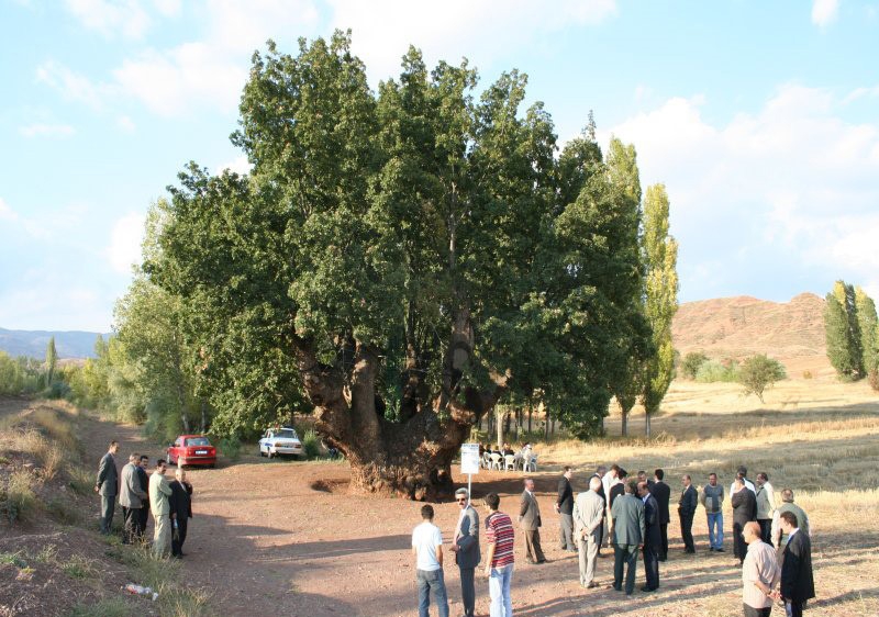 Çankırı'da Gezilmesi Gereken Yerler 9