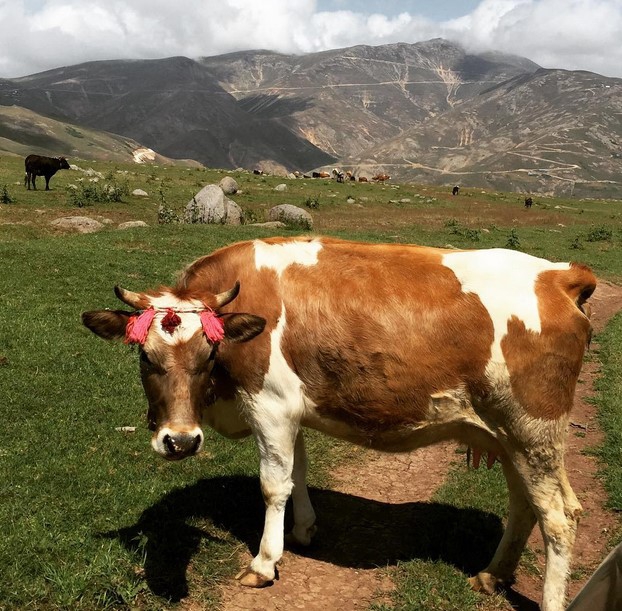 Giresun'da Görülmesi Gereken Yerler 2