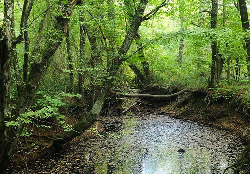 Kırklareli'nin Gezilmesi Gereken Yerleri 4