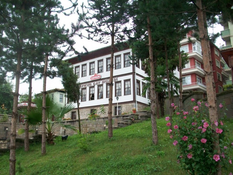 Rize'de Gezilmesi Gereken Yerler 5