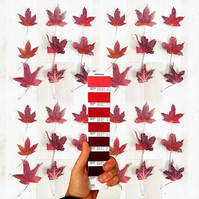 Andrea Antoni’dan Pantone Kartelası 18