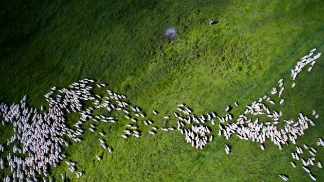 Etkileyici Drone Fotoğrafları 11