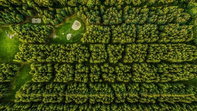 Etkileyici Drone Fotoğrafları 18