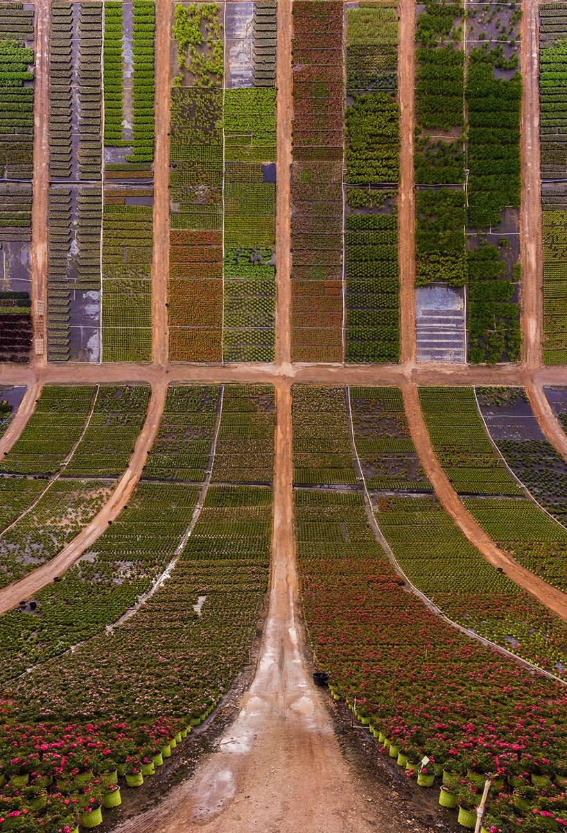 Sürrealist Fotoğrafçı Aydın Büyüktaş 10