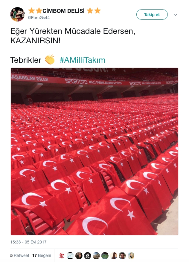 Milli Takımın Galibiyet Sonrası Atılmış Tweetler 1