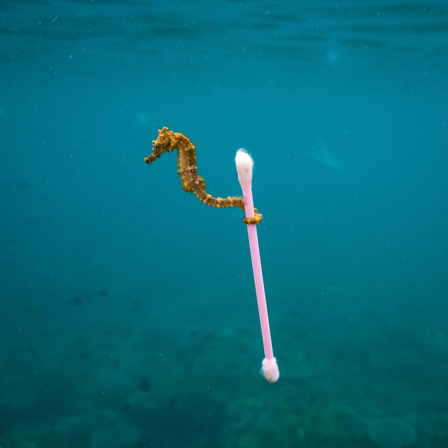 2017’nin En Başarılı Vahşi Yaşam Fotoğrafıları 10