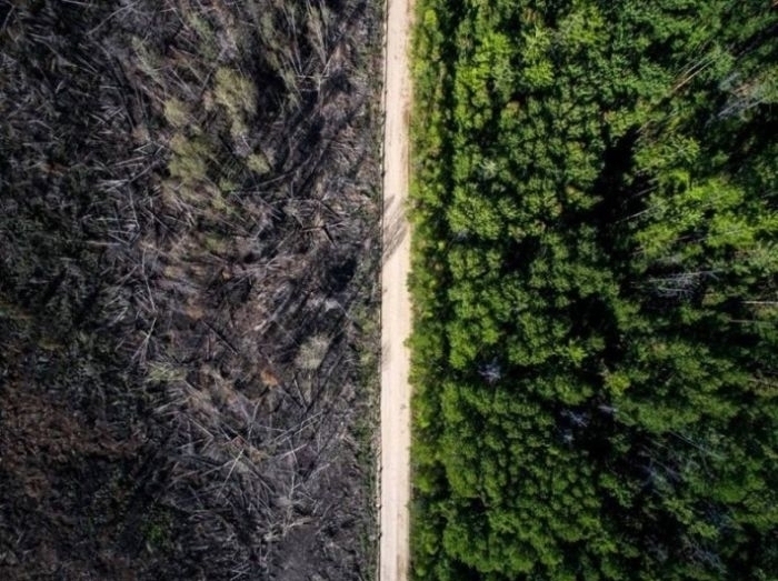 Nefes Kesen Doğal Yakalanmış Fotoğraf Kareleri 14