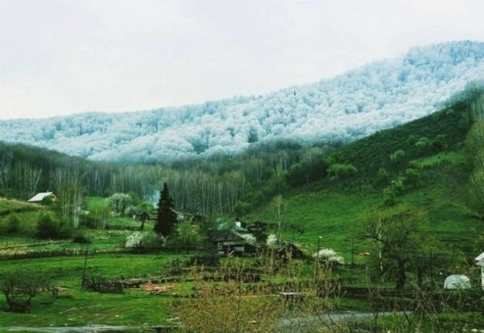 Nefes Kesen Doğal Yakalanmış Fotoğraf Kareleri 6