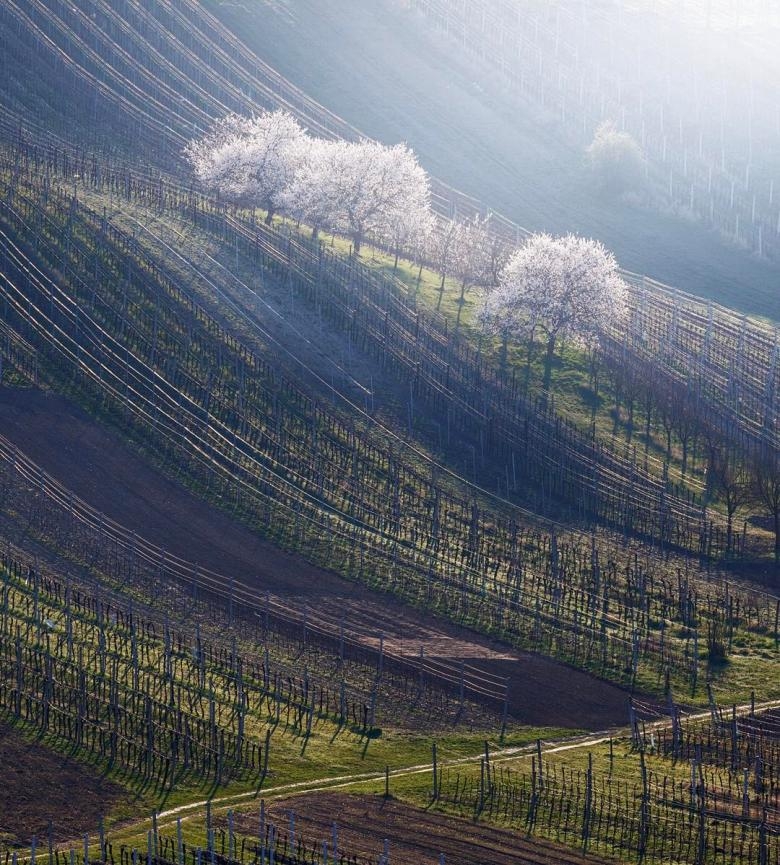 Doğa Aşığı Fotoğrafçının Çektiği Muazzam Fotoğraflar 16