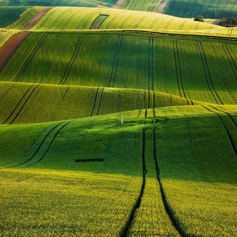 Doğa Aşığı Fotoğrafçının Çektiği Muazzam Fotoğraflar 17