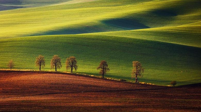 Doğa Aşığı Fotoğrafçının Çektiği Muazzam Fotoğraflar 19