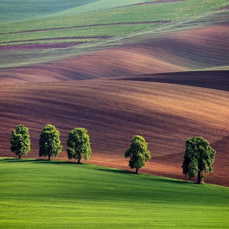 Doğa Aşığı Fotoğrafçının Çektiği Muazzam Fotoğraflar 20