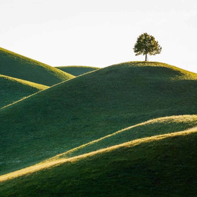 Doğa Aşığı Fotoğrafçının Çektiği Muazzam Fotoğraflar 21