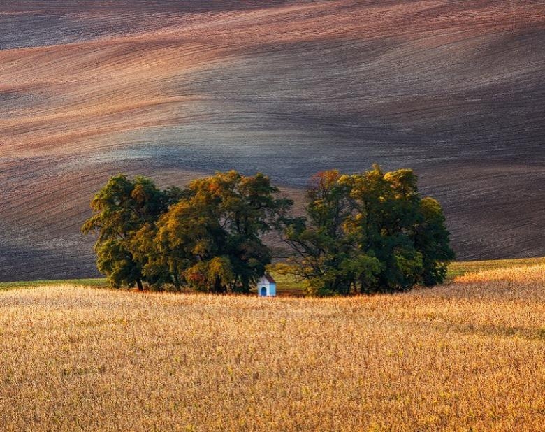 Doğa Aşığı Fotoğrafçının Çektiği Muazzam Fotoğraflar 22