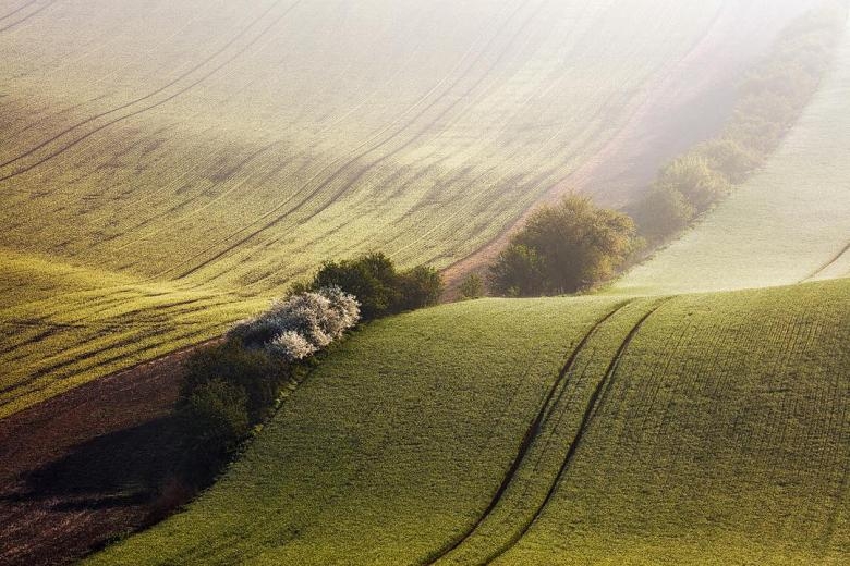 Doğa Aşığı Fotoğrafçının Çektiği Muazzam Fotoğraflar 23