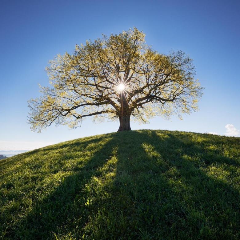 Doğa Aşığı Fotoğrafçının Çektiği Muazzam Fotoğraflar 4