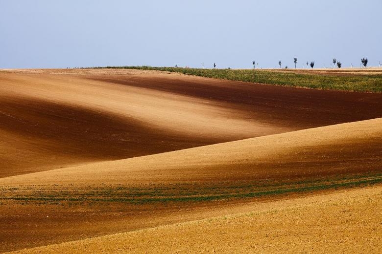 Doğa Aşığı Fotoğrafçının Çektiği Muazzam Fotoğraflar 6