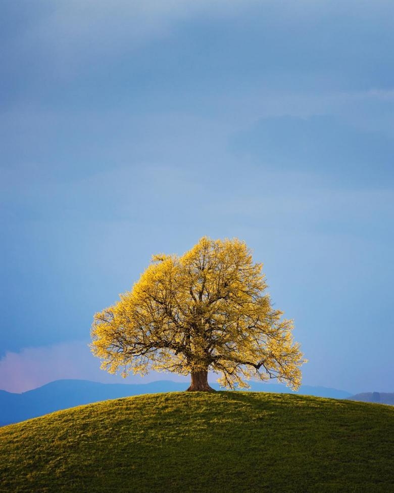 Doğa Aşığı Fotoğrafçının Çektiği Muazzam Fotoğraflar 9