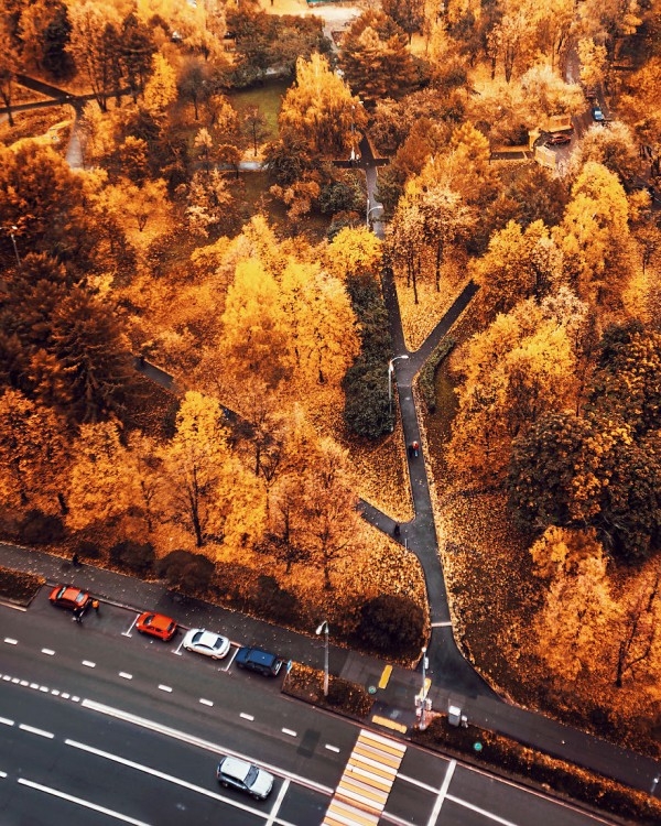 En Güzel Sonbahar Fotoğrafları 12