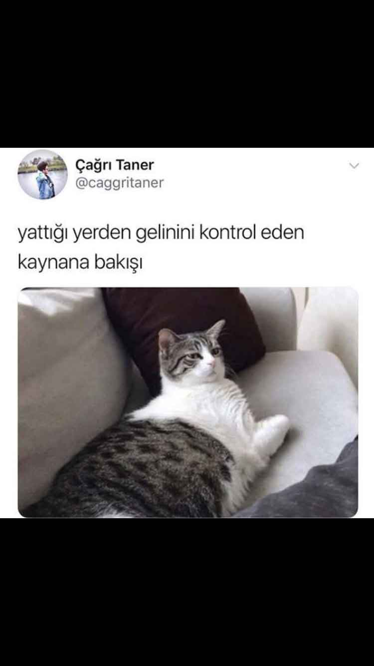 En İyi ve En Komik Çağrı Taner Paylaşımları 20