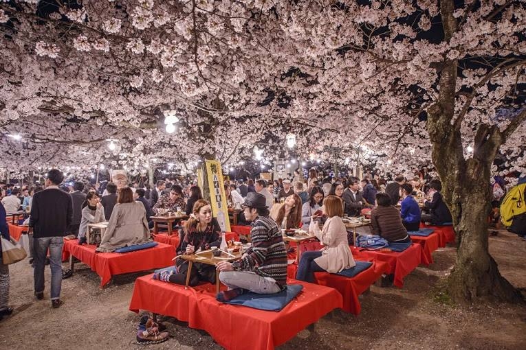 Bir Japon Harikası : Sakura 5