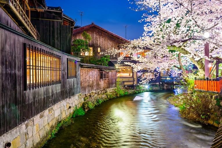 Bir Japon Harikası : Sakura 8