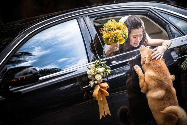 Dünya'nın En Sıra Dışı Düğün Fotoğrafları 3