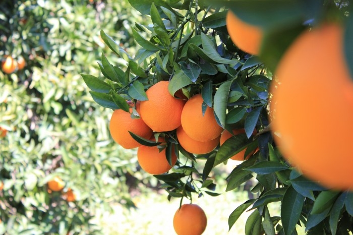 Antalya'da Görülmesi Gereken Yerler 5