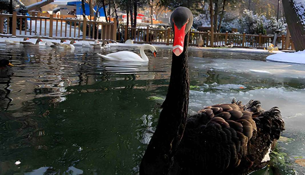 Ankara'da Gezilecek Yerler 37