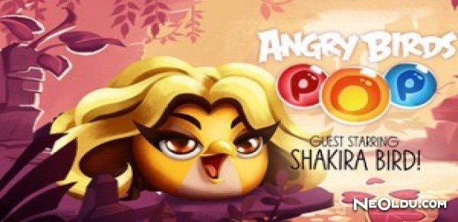 Angry Birds Ailesinin Yeni Üyesi