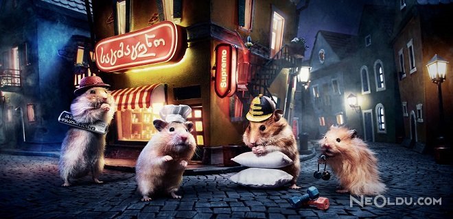 Bu Kasabada Sadece Hamsterlar Yaşıyor