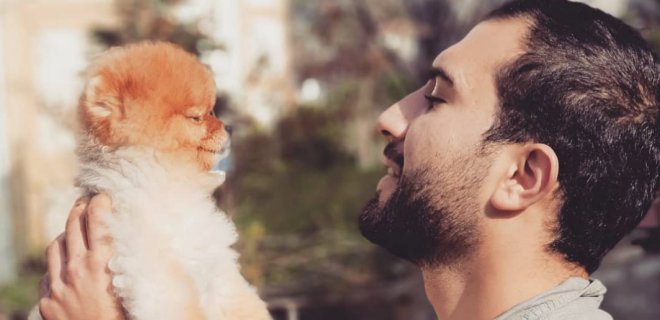 İstanbul Köpek Eğitimi ve Otel Hizmeti