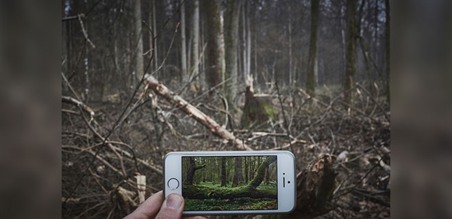 Yaşlandırma Uygulaması FaceApp’in Ardından Greenpeace’den Yeni Yorum: EarthApp!