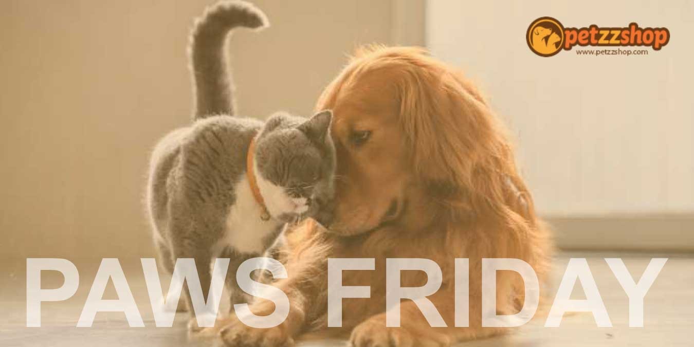 Petzz Shop Paws Friday İndirimli Ürünler | Efsane Günler