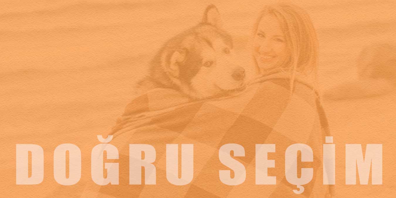 Doğru Köpek Seçimi: Sizin İçin Hangi Köpek Irkı Uygun?