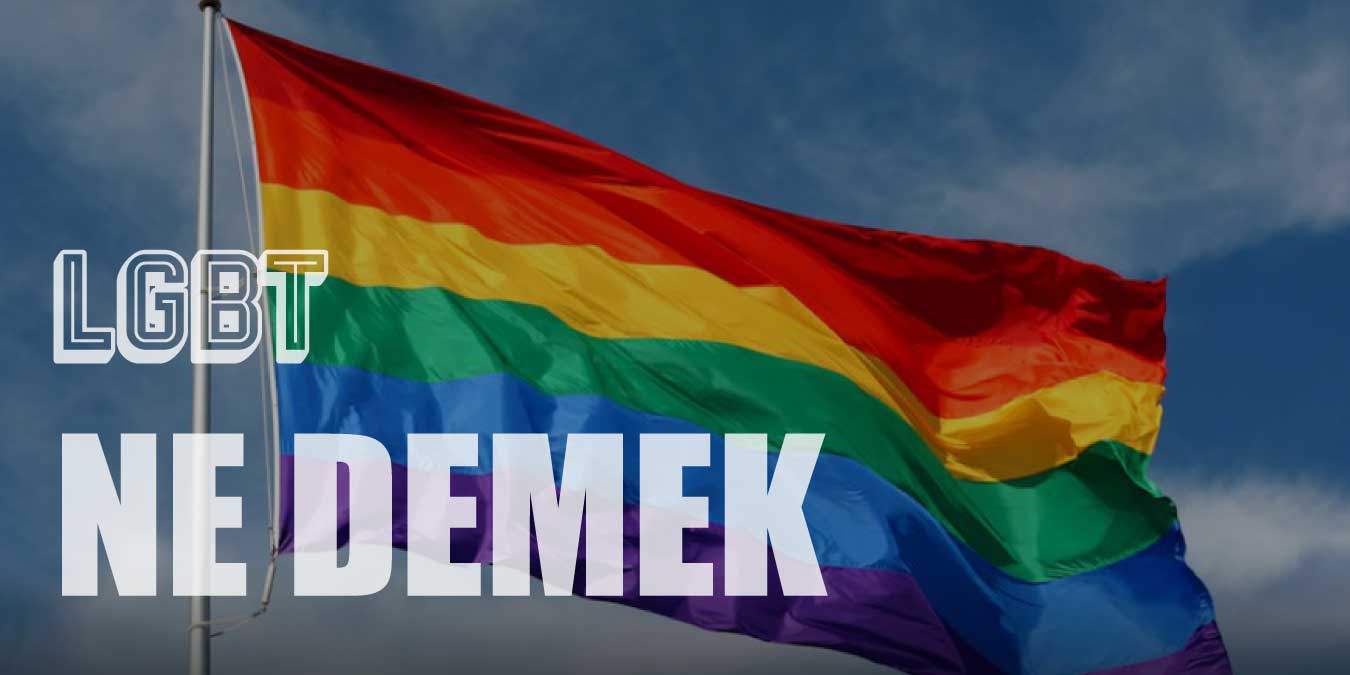 LGBT Ne Demek?